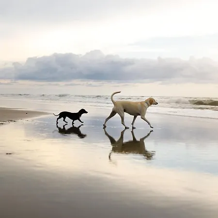 Baywatch - Seaview And Balcony - Part Of The The Bay Filey Village With Pool, Gym And Direct Access, Pub, Restaurant, Tennis And Meadows Walks